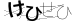 CAPTCHA