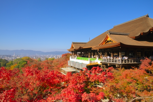 神社とお寺の違いをわかりやすく解説｜宗教・建物・参拝作法を徹底比較