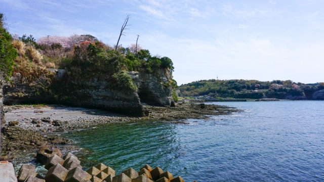 夢が叶う・心願成就の神社まとめ｜全国おすすめ6選と参拝のコツ