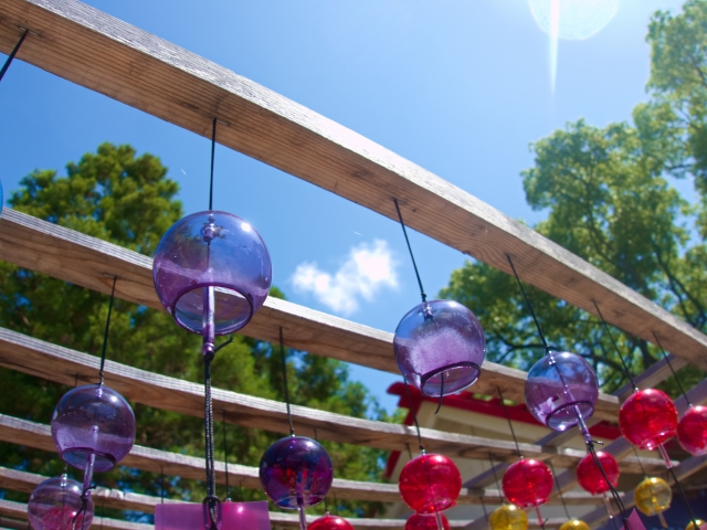 夏詣とは？意味・時期・夏の神社参拝の楽しみ方を解説