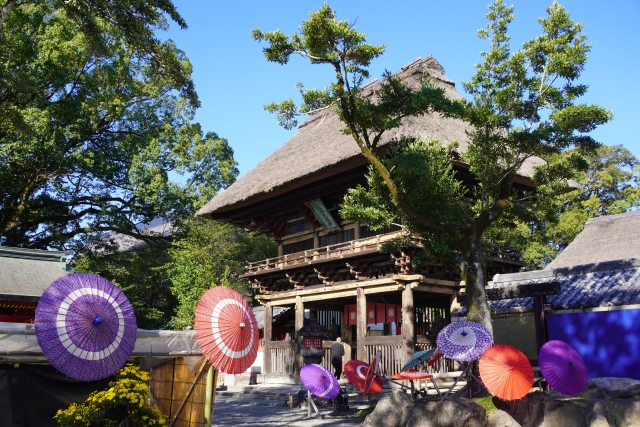 長崎・佐賀・熊本の有名神社まとめ｜九州の歴史と信仰を巡る厳選10社